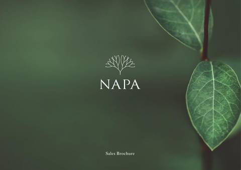 NAPA